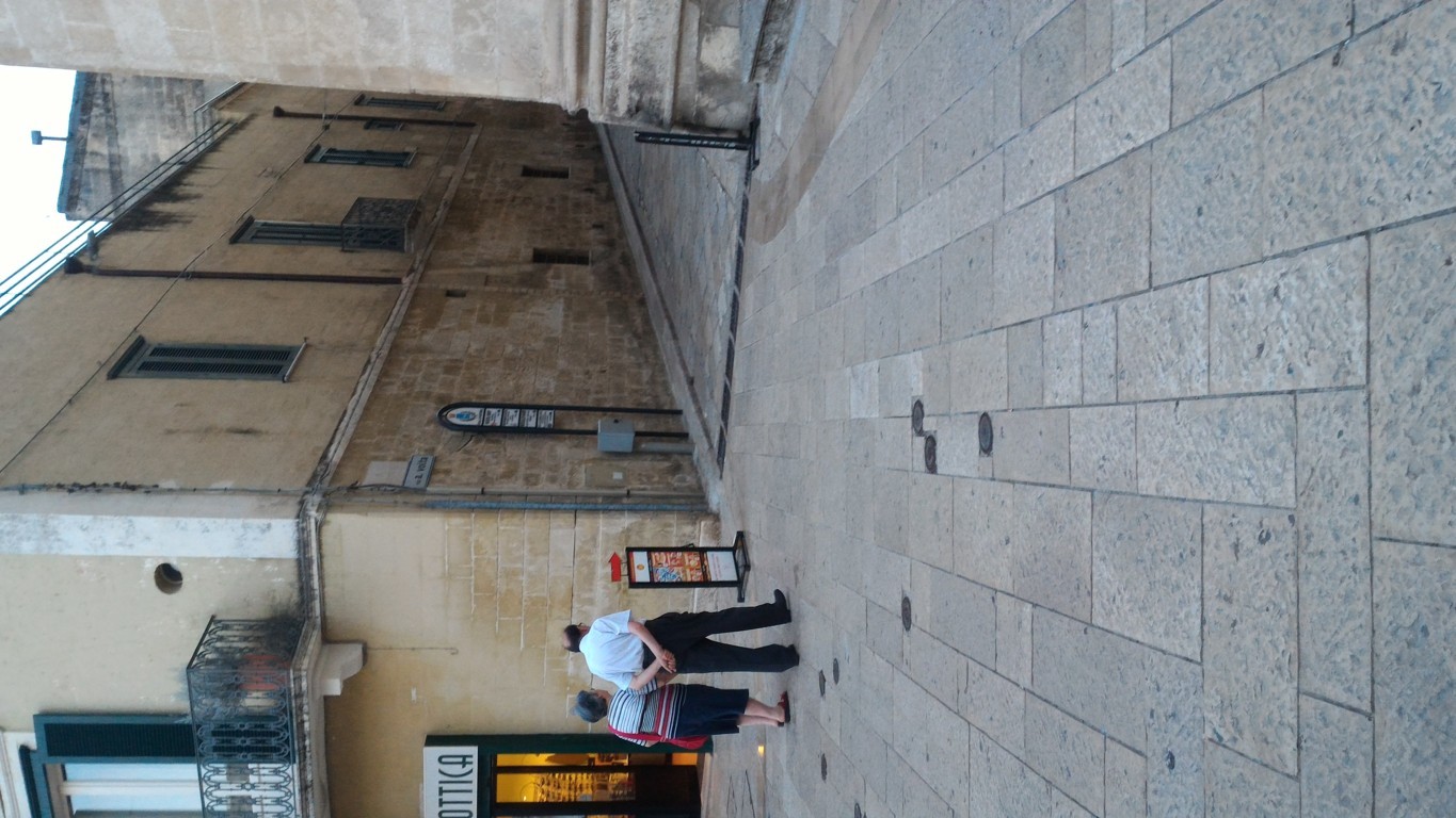 P_20160805_195555 .jpg